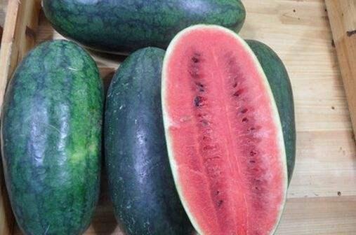 黑瓜吃料总部,揭秘美食原料供应链新篇章