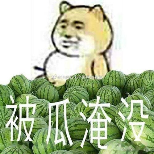 黑瓜吃瓜料,揭秘娱乐圈幕后故事